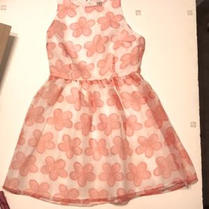 BBDakota dress size 6